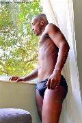 Foto Annuncio Boy Lugano Henrico Black Brasiliano - 1