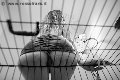Foto Annuncio Mistress Verona Lady Giuliette - 16