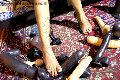 Foto Annuncio Mistresstrans Bologna Catadeya - 55