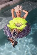 Foto Annuncio Trans Ibiza Nina La Divina - 85