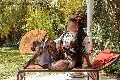 Foto Annuncio Transescort Firenze Diana Ferraz - 59