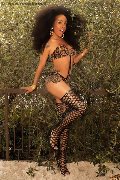 Foto Annuncio Transescort Verona Tamisca Safada - 88
