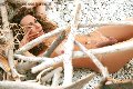 Foto Hot Annuncio Trans Villa Rosa Giselly Bella - 9