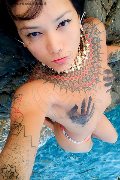  Trans Jj La Numero Uno 351 45 55 713 foto selfie 16