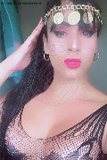 Lodi Trans Yara 334 27 00 693 foto selfie 28