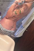Treviso Trans Valeria 338 87 18 849 foto selfie 1026