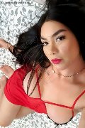 Amsterdam Trans Escort Kim Tifany 344 70 63 881 foto selfie 17