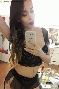  Trans Escort Fernanda Tavares 366 70 13 803 foto selfie 109