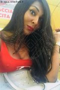 Gallarate Trans Escort Thalita Top Xxxl 388 48 85 062 foto selfie 5