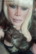 Milano Trans Escort Nicole Vip Venturiny 353 35 38 868 foto selfie 414