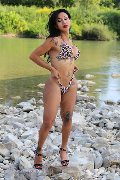 Foto Annuncio Transescort Adriana Paulett - 388