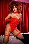 Foto Annuncio Transescort Milano Stella - 11