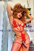 Foto Hot Annuncio Transescort Milano Stella - 5