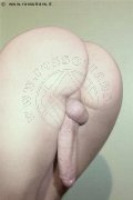 Foto Hot Annuncio Trav Noventa Di Piave Vanessa Dior - 2