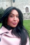 Prato Trans Tain� Oliveira 328 53 82 487 foto selfie 140