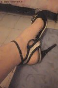 Foggia Trans Escort Suzana Pantera 392 97 24 965 foto selfie 32