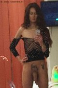 Genova Trans Escort Miranda Pinocchio Pornostar 329 44 49 590 foto selfie 10