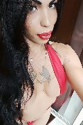 Treviso Trans Escort Rayla Rios 329 38 77 403 foto selfie 37