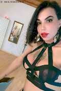 Treviso Trans Escort Rayla Rios 329 38 77 403 foto selfie 2